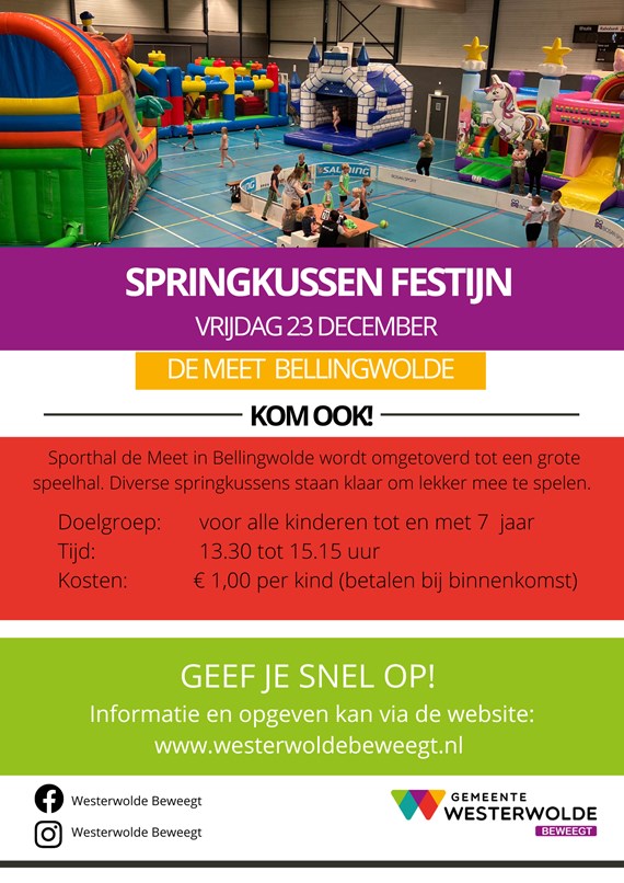 springkussenfestijn